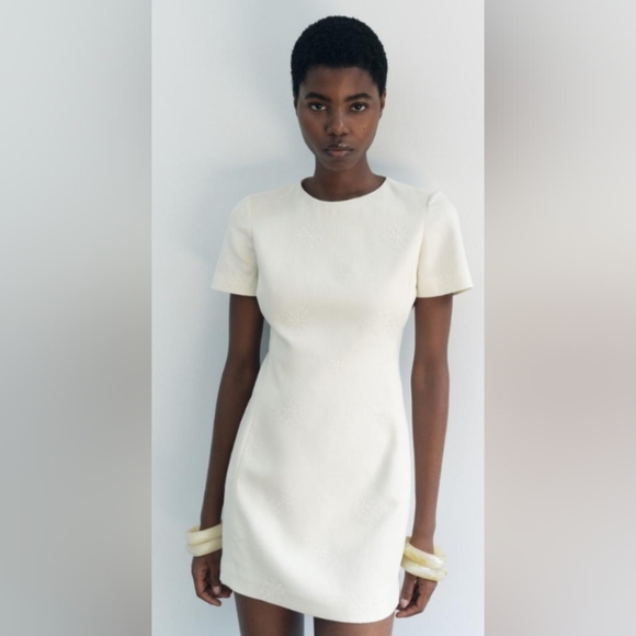 Zara Dresses & Skirts - Zara Embroidered Mini Dress ZW Collection
